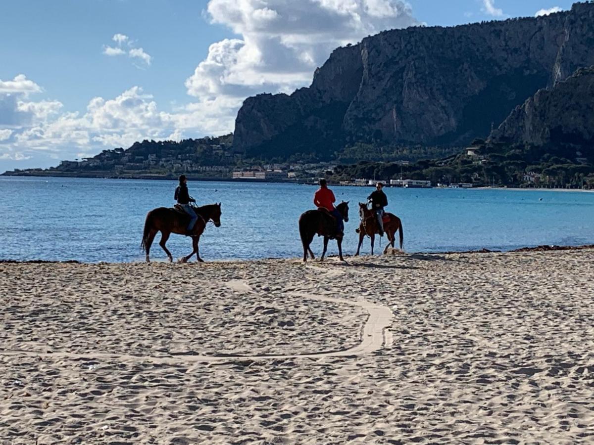 Mondello Beach Luxury Apartments Palermo Eksteriør billede